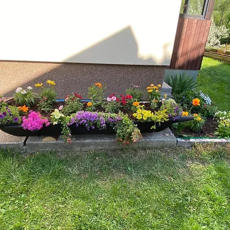 Privat Vavrus 도노발리