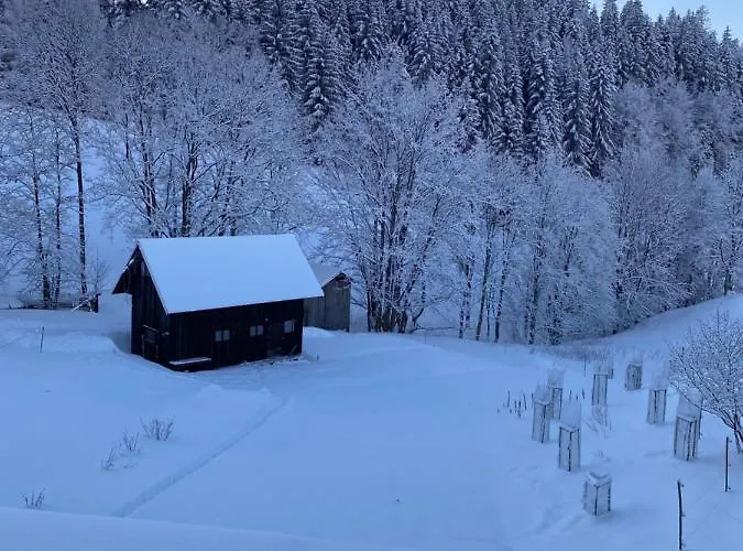 Privat Vavrus 홈스테이 도노발리